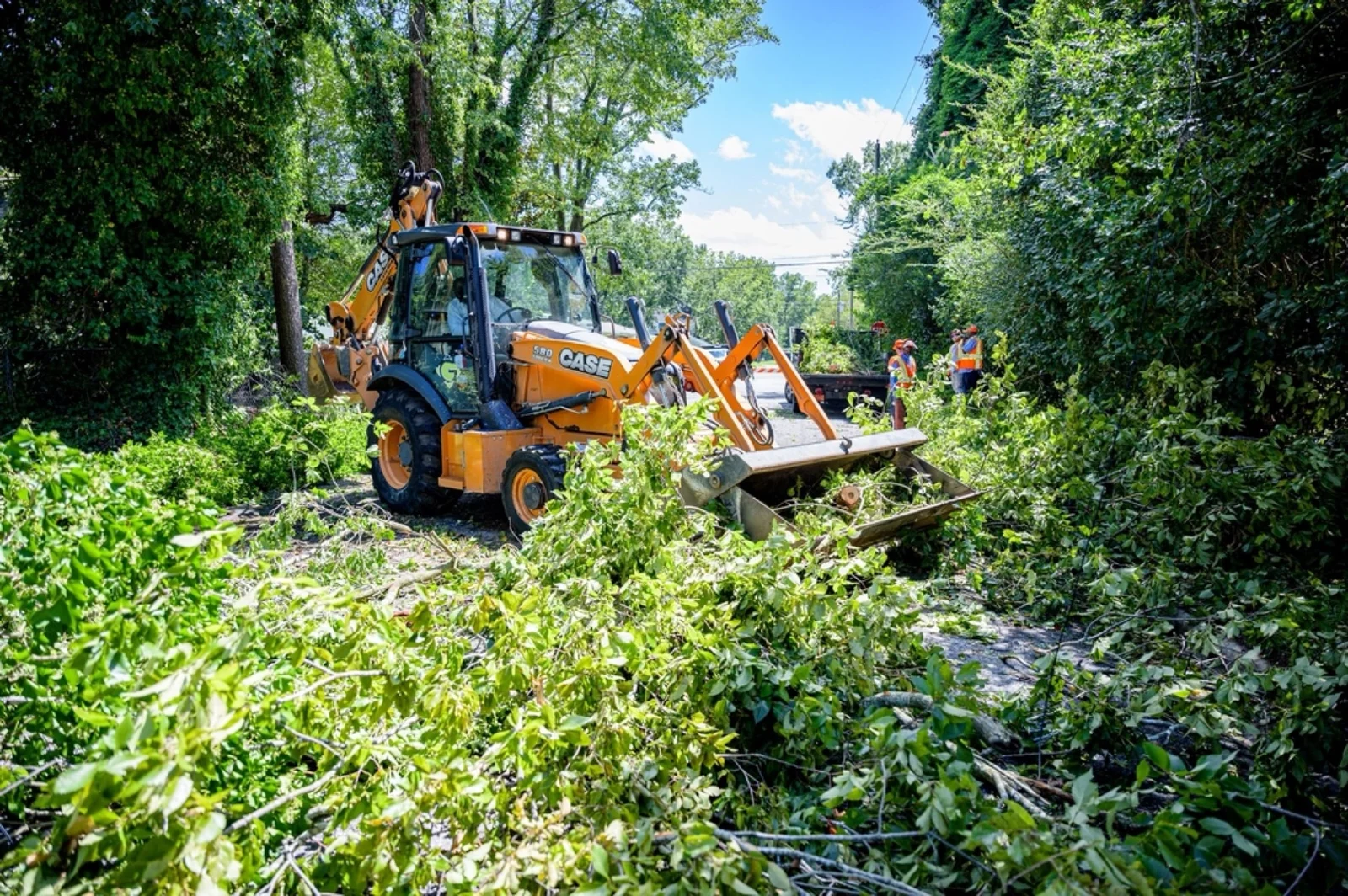 Tree service work on a property